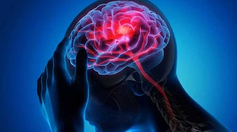 കാക്കനാട് എല്‍പി സ്‌കൂള്‍ വിദ്യാര്‍ഥിനിക്ക് മസ്തിഷ്‌കജ്വരം; ഗുരുതരാവസ്ഥയില്‍ ചികിത്സയില്‍