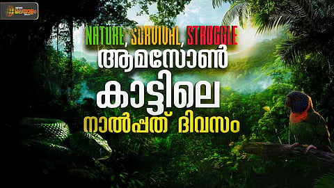 ആമസോണ്‍ കാട്ടിലെ നാല്‍പ്പത് ദിവസം