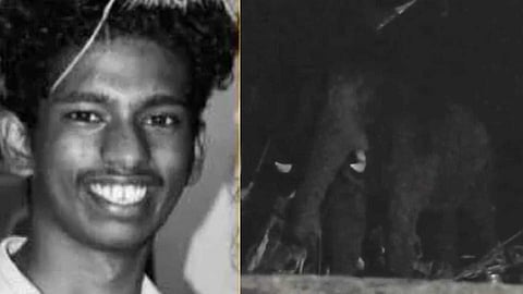 ചുള്ളിമട ജനവാസ മേഖലയിൽ വീണ്ടും കാട്ടാന; നിരീക്ഷണം ശക്തമാക്കി വനം വകുപ്പ്