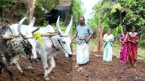 ഉഴുത് മറിച്ച മണ്ണിലെ ആഘോഷം; ഇന്നും മുടങ്ങാത്ത വിഷു ചാലിടൽ