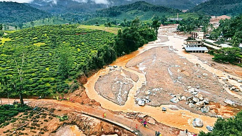 കിറ്റും ദിവസ വേതനവും പ്രഖ്യാപനത്തിലൊതുങ്ങി; മുണ്ടക്കൈ- ചൂരൽമല ദുരന്ത ബാധിതർ പ്രതിസന്ധിയിൽ