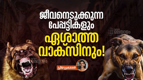 ജീവനെടുക്കുന്ന പേപ്പട്ടികളും, ഏശാത്ത വാക്സിനും; ഭീതിയോടെ നാട്