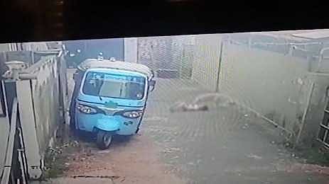 കോഴിക്കോട് രണ്ടിടങ്ങളിൽ തെരുവുനായ ആക്രമണം; കുട്ടികൾക്ക് പരിക്ക്