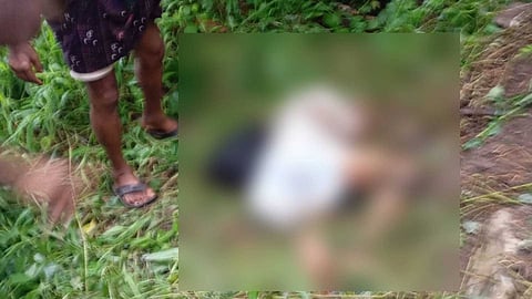 വീണ്ടും കാട്ടാനക്കലി: പാലക്കാട് ടാപ്പിങ് തൊഴിലാളി കൊല്ലപ്പെട്ടു