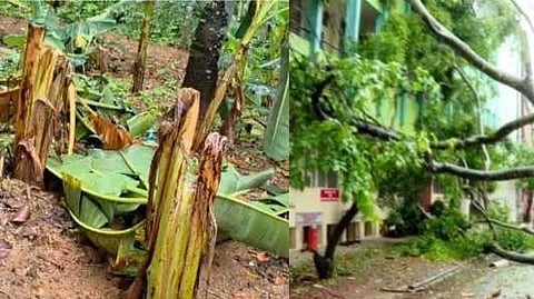 കേരളത്തിൽ മഴ കനക്കുന്നു; കാറ്റിലും മഴയിലും വിവിധ ജില്ലകളിൽ വ്യാപക നാശനഷ്ടം