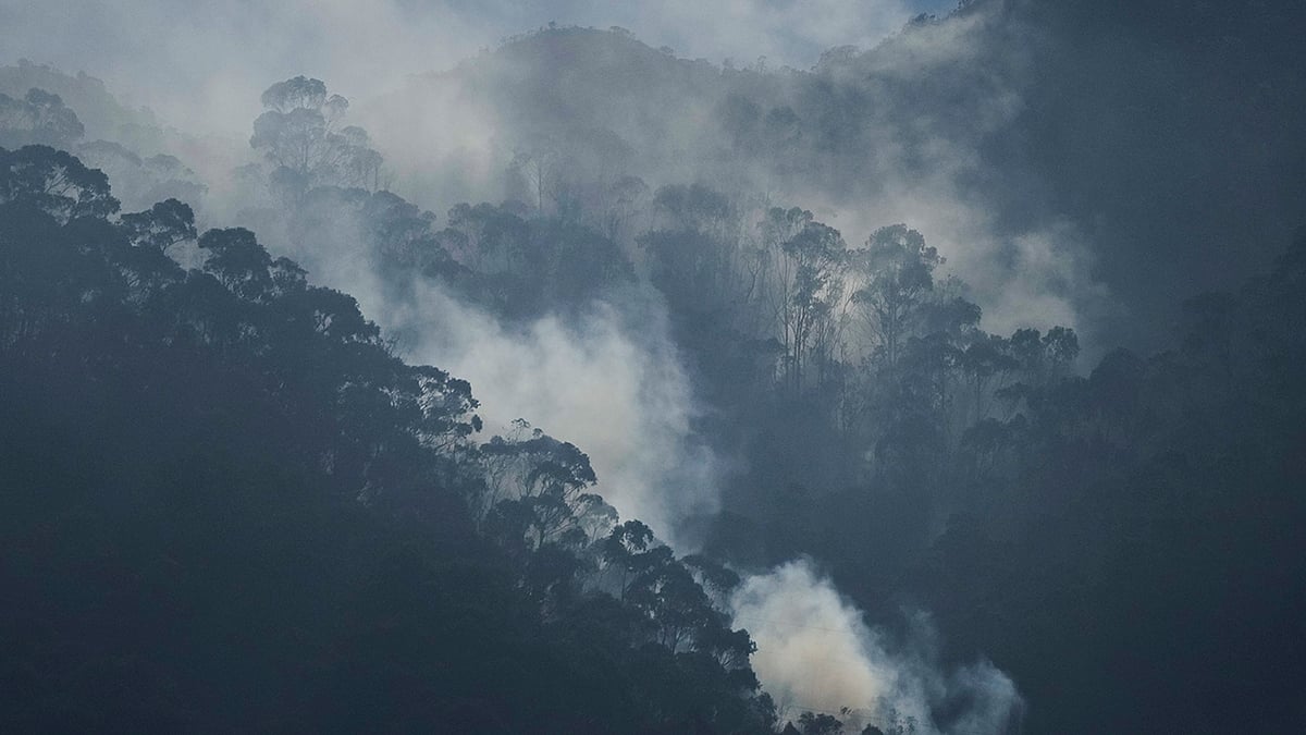 Colombia Fire 
