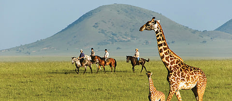 Horse safari in Kenya (Photo via National Geographic)