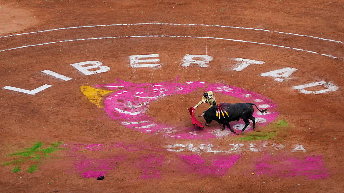 Mexico Bullfighting