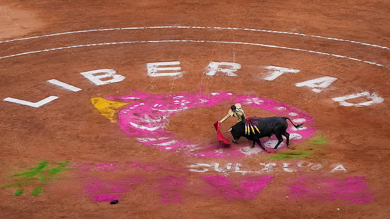 Mexico Bullfighting