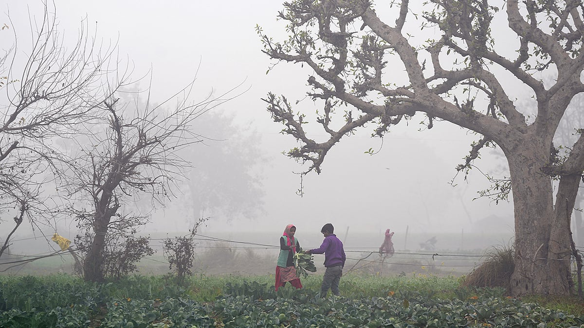 Weather: Winter fog in Delhi