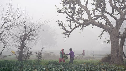 Weather: Winter fog in Delhi
