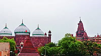 Photographs: Suresh K. Pandey : Shahi Idgah mosque in Mathura