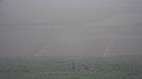 Winter in Delhi