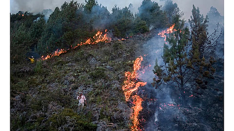 Colombia Fire