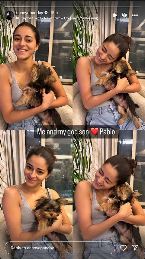 A screenshot of Ananya Panday's Instagram story.