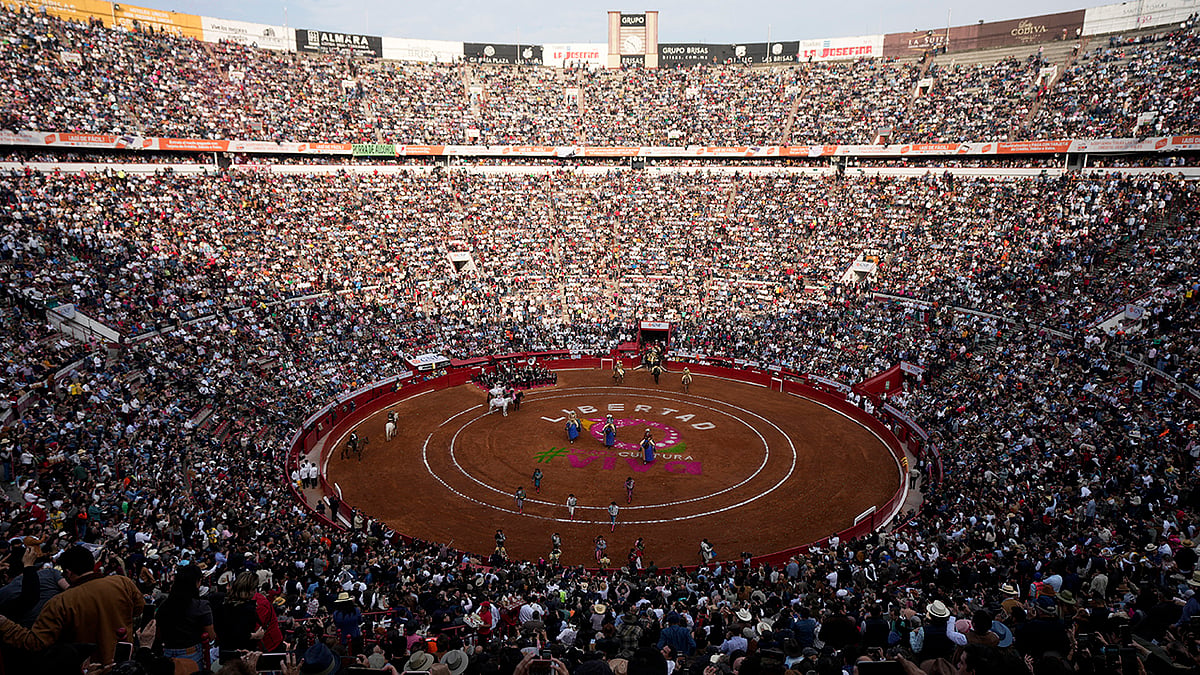 Photo: AP/Fernando Llano : Colombia's congress voted to ban bullfights in the South American nation