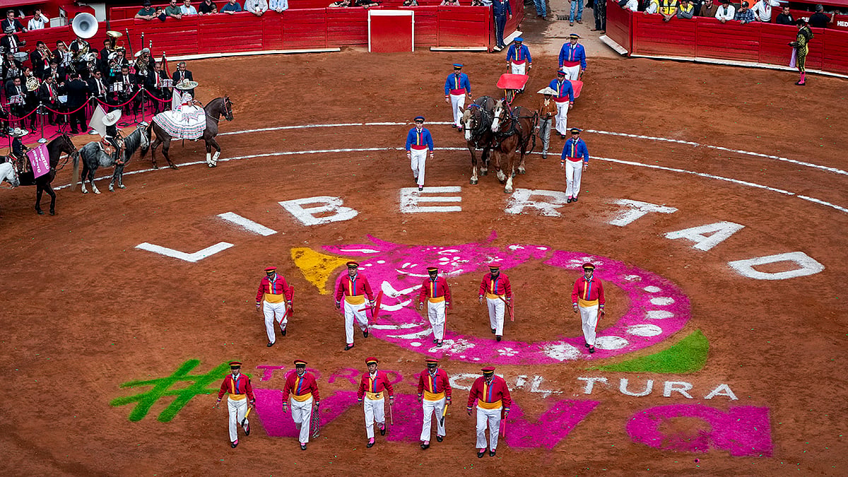 Mexico Bullfighting
