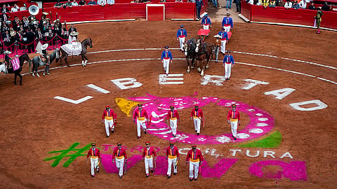 Mexico Bullfighting