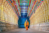 What Makes Narendra Modi The Phenomenon He Is? Photo: PTI : Prime Minister Narendra Modi at Ramanathaswamy Temple in Rameswaram on January 20, 2024.