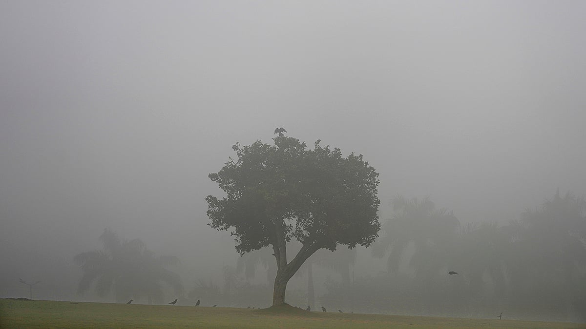Winter in Delhi