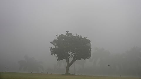 Winter in Delhi