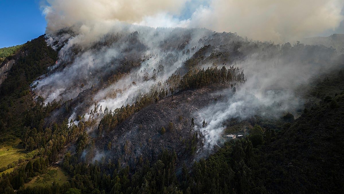 | Photo: AP/Ivan Valencia : Colombia Fire 