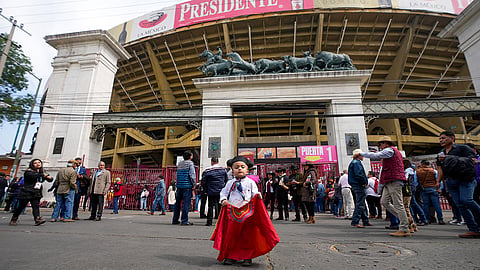 Mexico Bullfighting