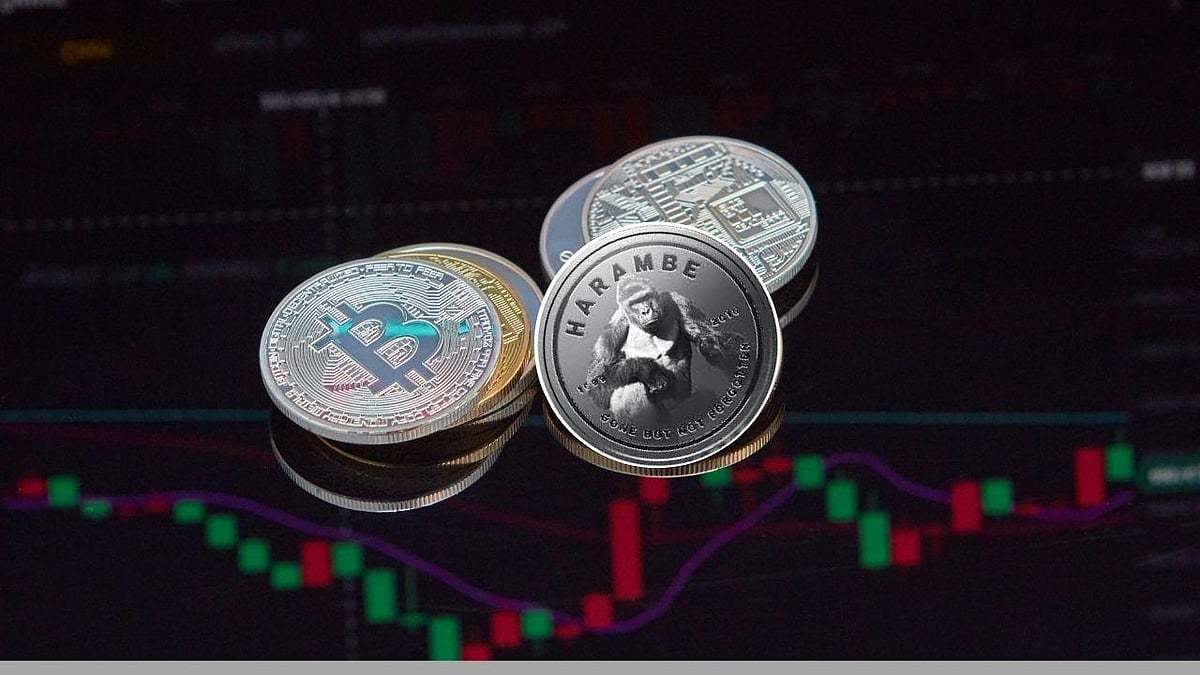 Harambe Token