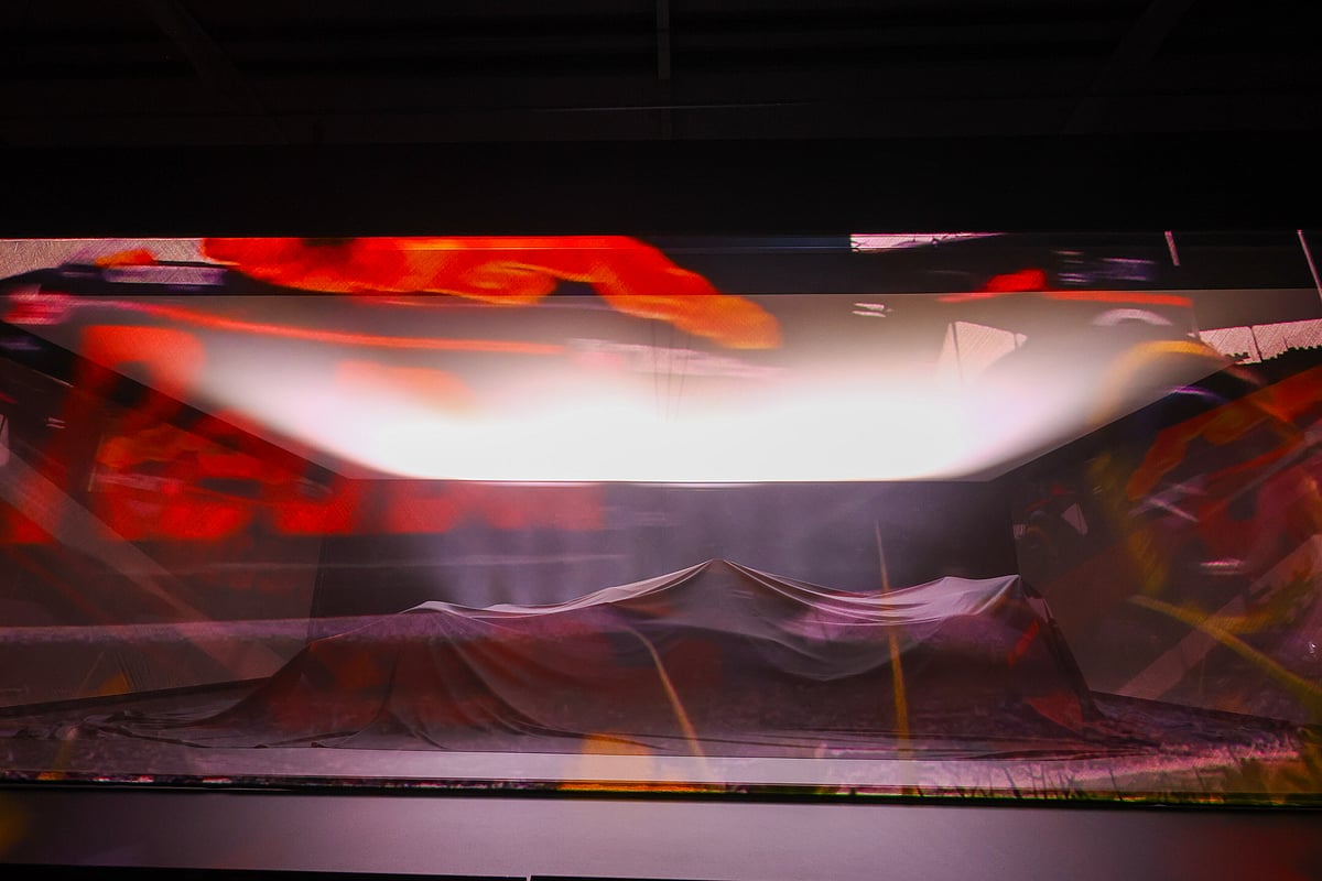 Oracle Red Bull Racing RB20 Car Launch