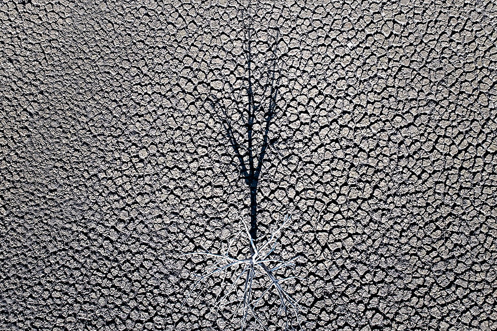 Spain Drought