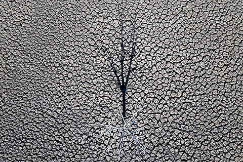 Spain Drought
