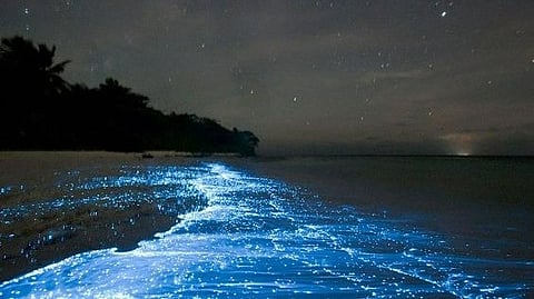 Mosquito Bay