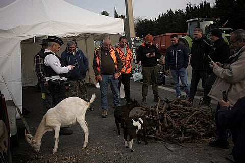 Europe Farmers Protests 