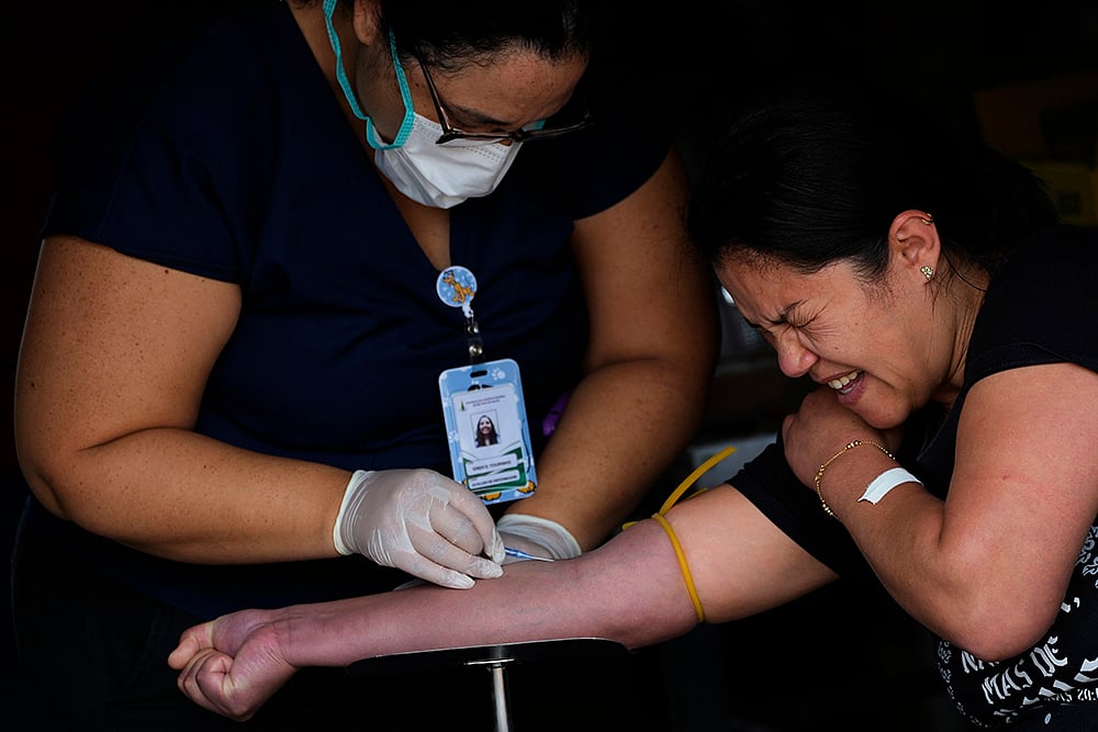 Brazil Dengue