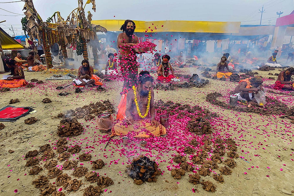| Photo: PTI : Basant Panchami