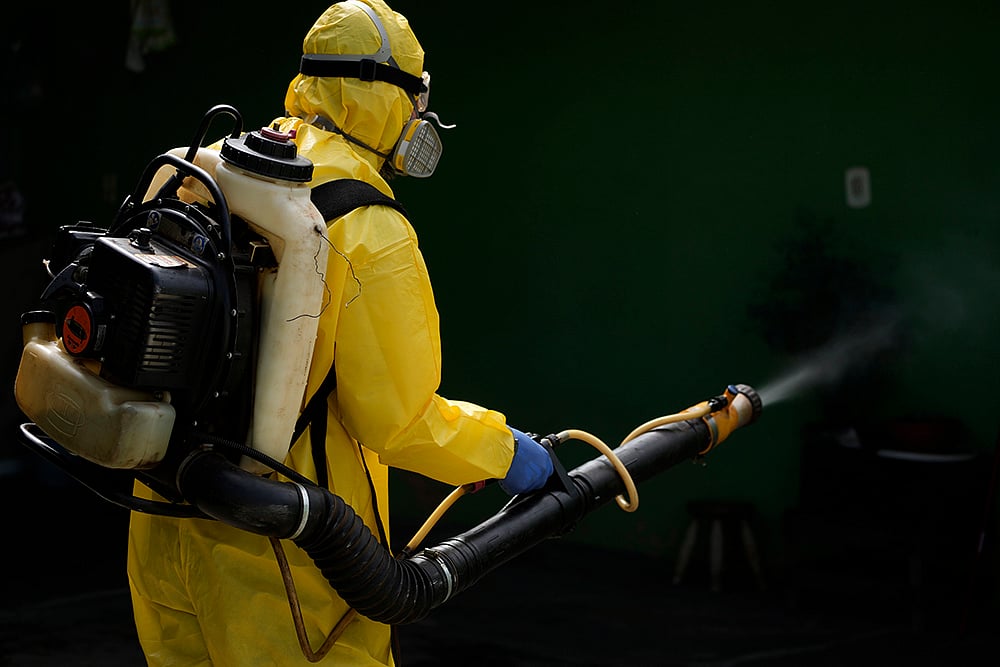Brazil Dengue 