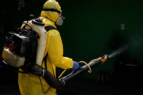 Brazil Dengue 