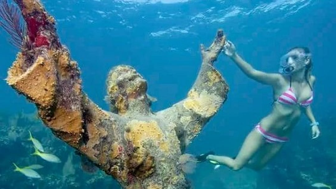 John Pennekamp Coral Reef State Park