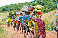 Diary: The Decline of Adivasiyat And The Battle For Identity Photo: Shutterstock : A Threatened World: Ninety per cent Adivasis still live in villages.
Their livelihood depends on farming
and forest produce.