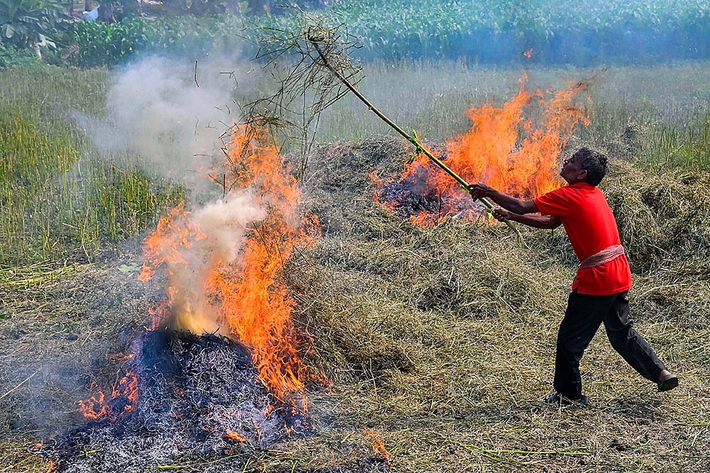 Crop stubble burning in WB