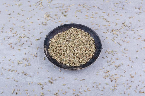 Fennel seeds