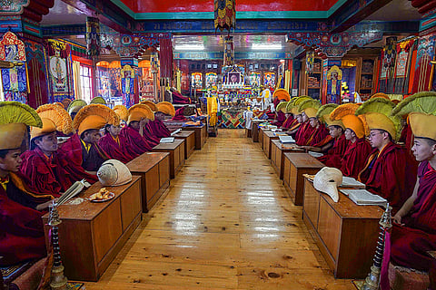 Tibetan New Year in Shimla
