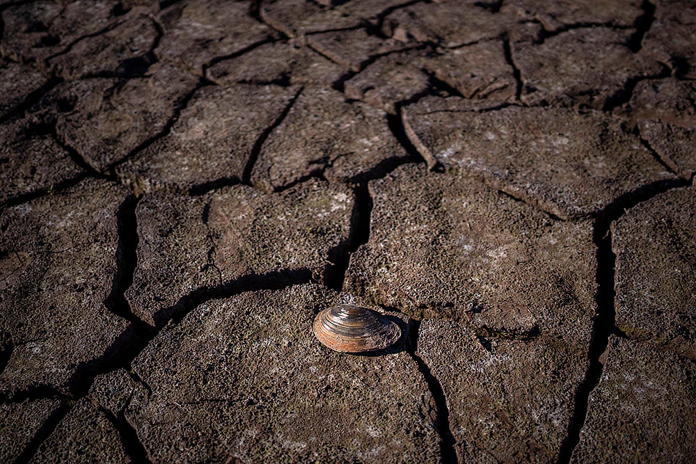 Spain Drought