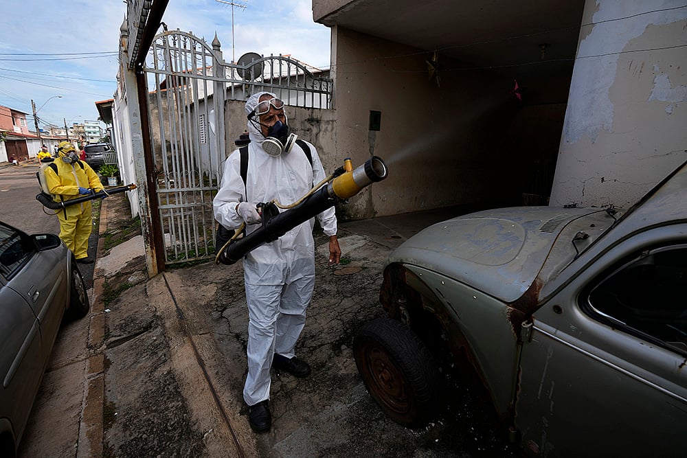 Brazil Dengue 