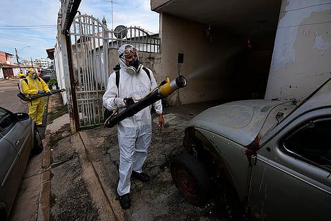 Brazil Dengue 