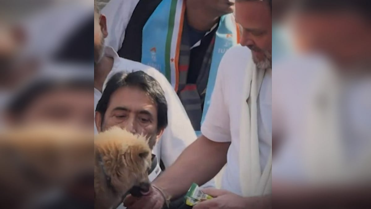 Screen grab from video posted on X/@bharatjodo