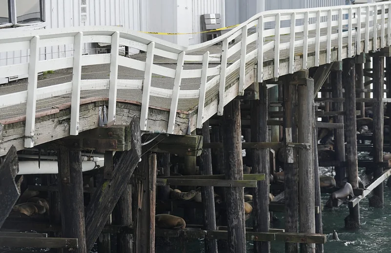 (Image: AP)