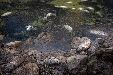Spain Drought