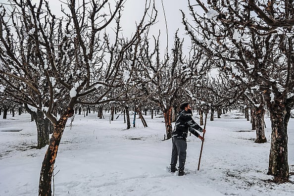 Getty Images : In the ongoing winter season, the Indian Himalayas witnessed an unusually dry spell as snowfall was delayed till January-end and early-February. 
