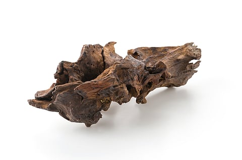 Arjuna Bark
